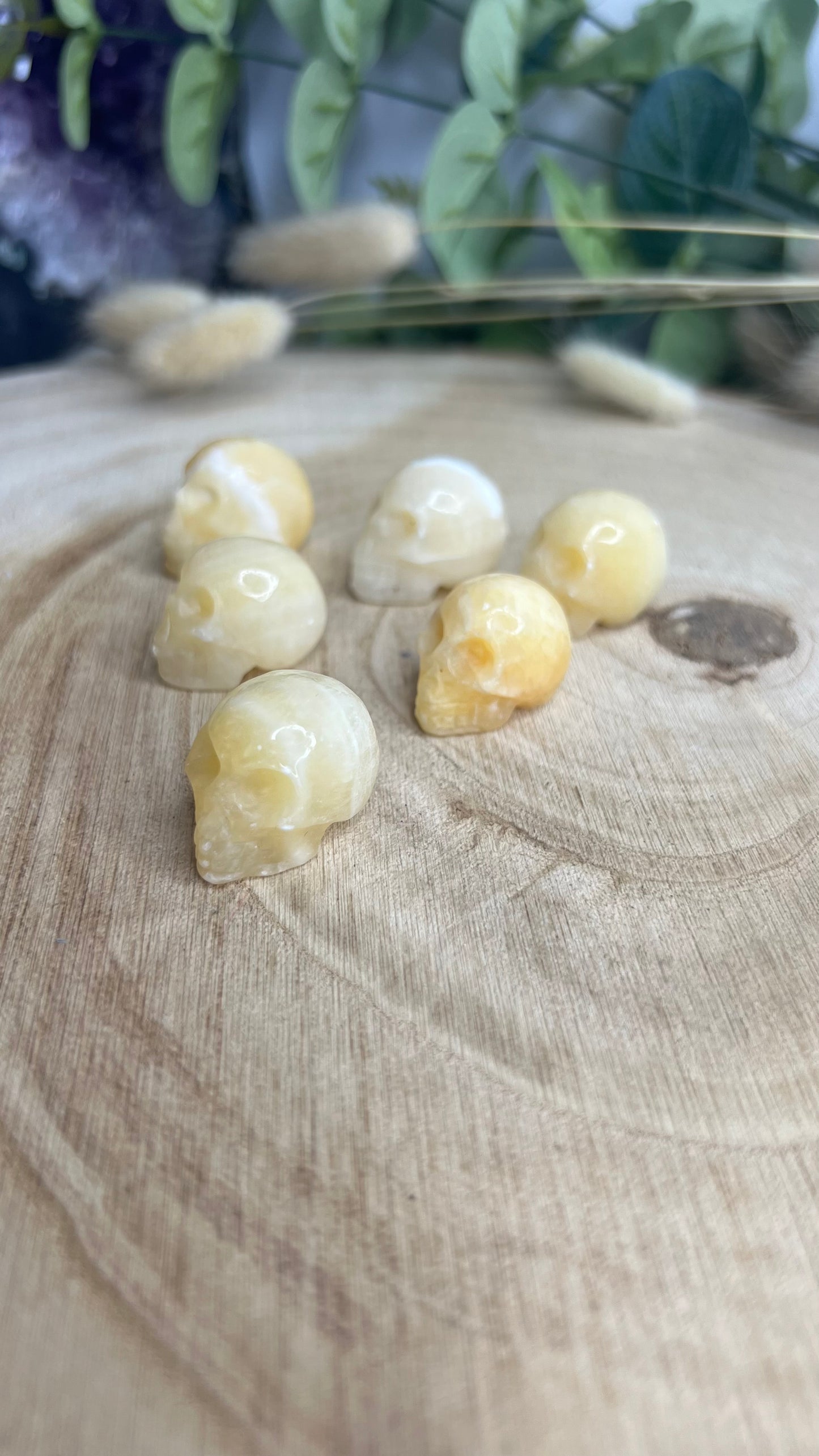 Crane Calcite orange