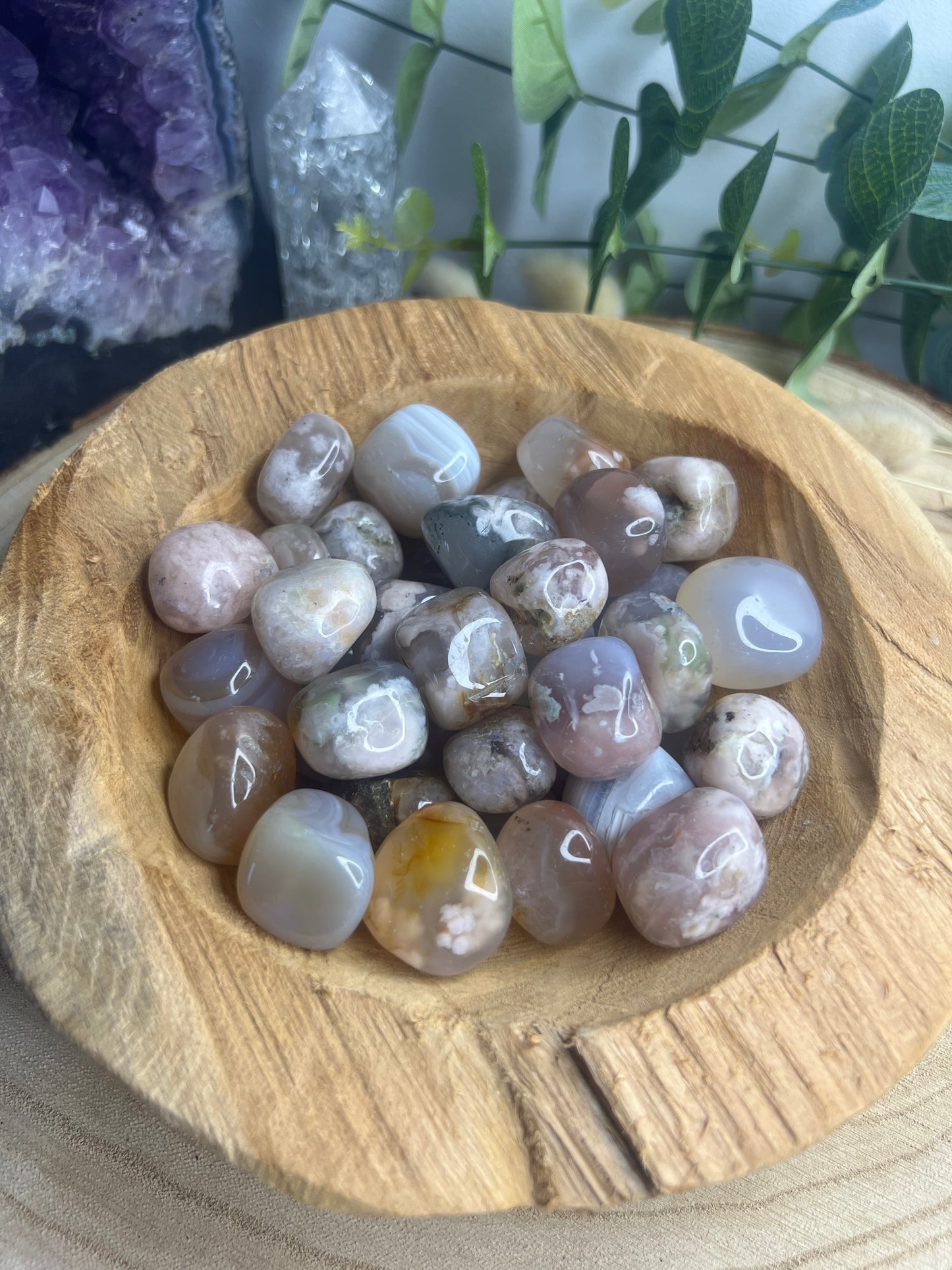 Pierre polis Agathe fleur