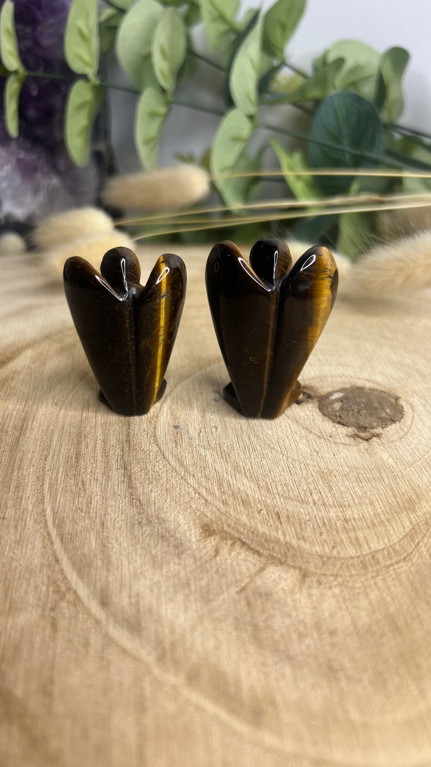 Ange en Œil du Tigre