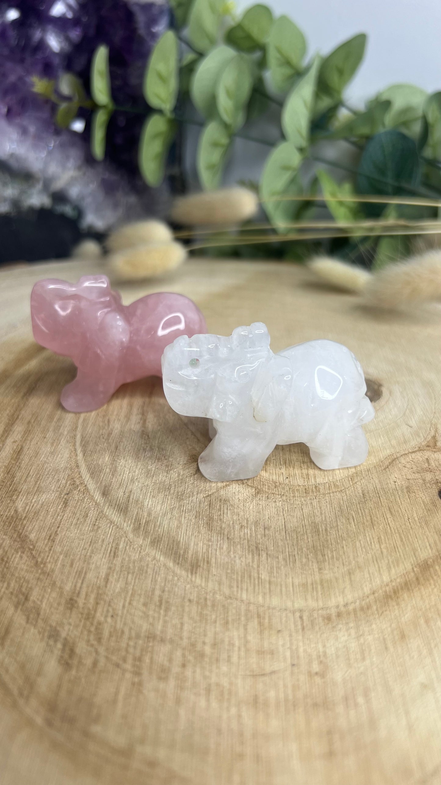 Les Éléphants en quartz