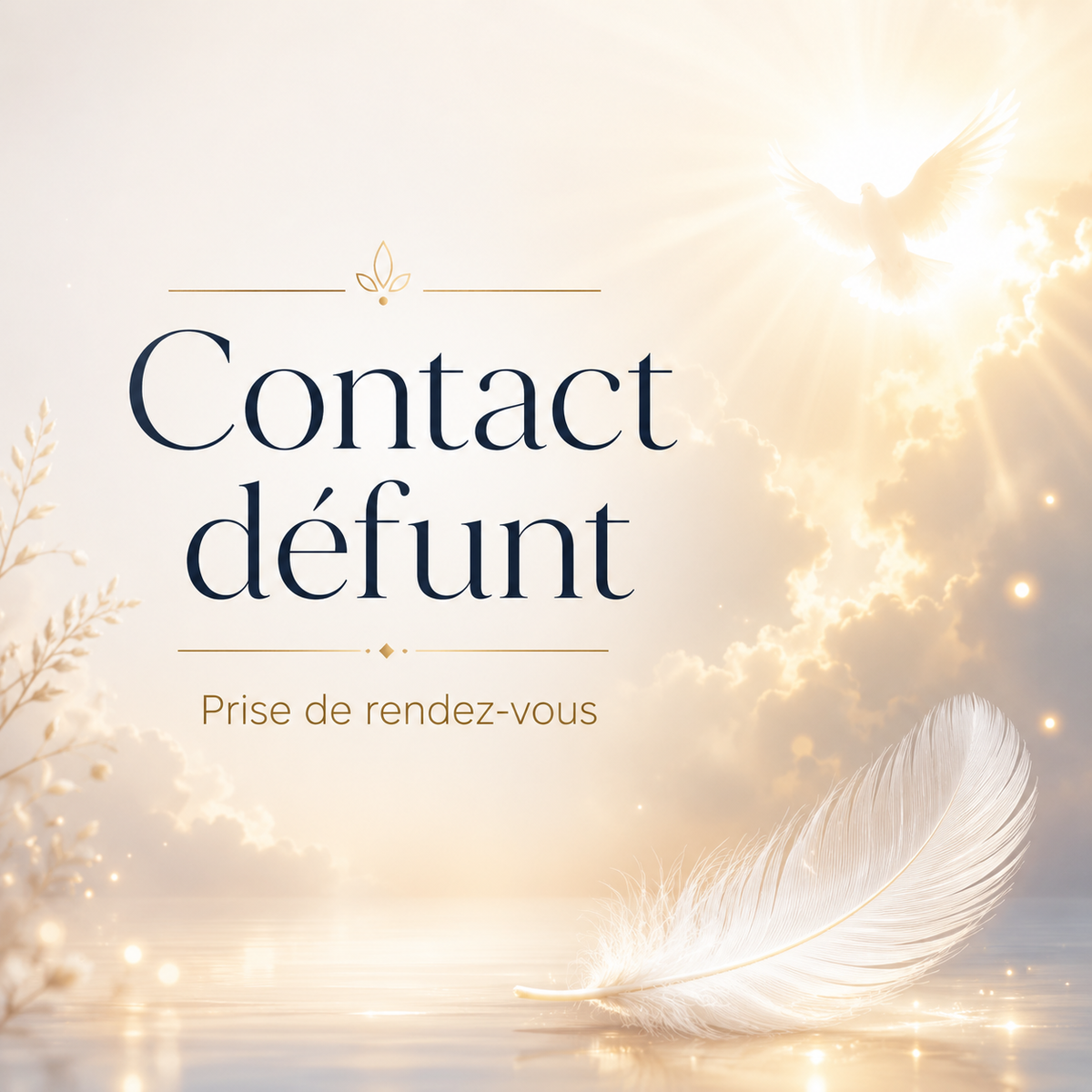 Consultation contact avec un défunt