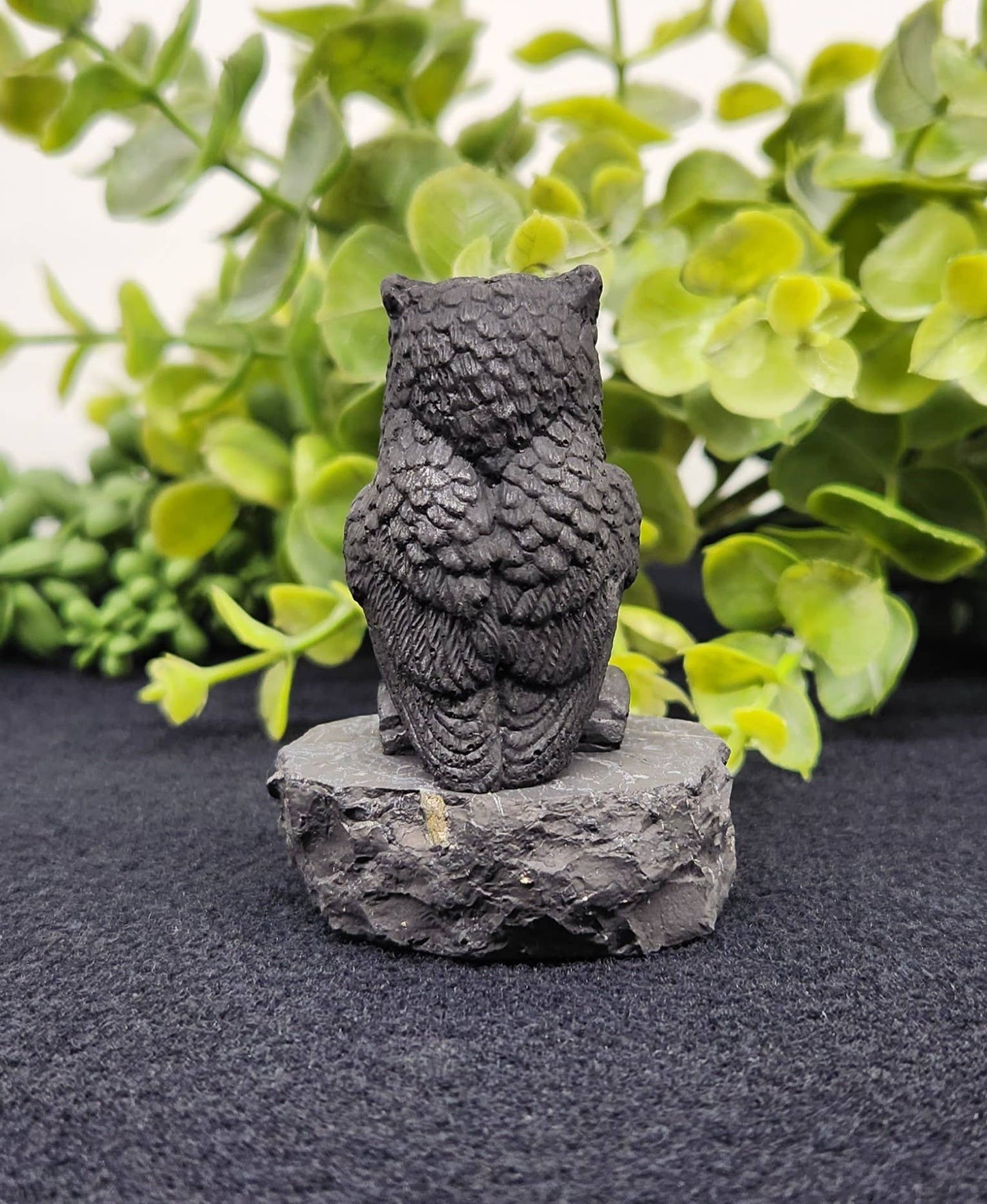 Forme hiboux shungite