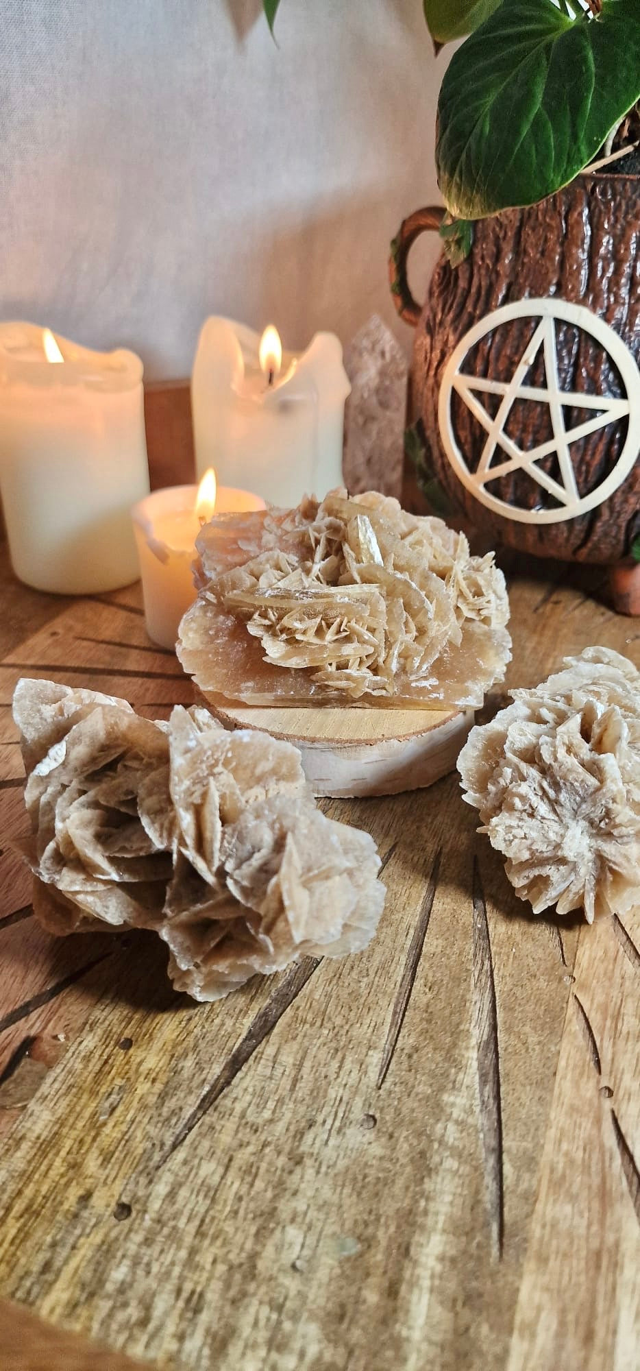 Druses Roses des Sables