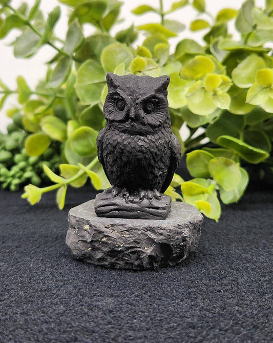 Forme hiboux shungite
