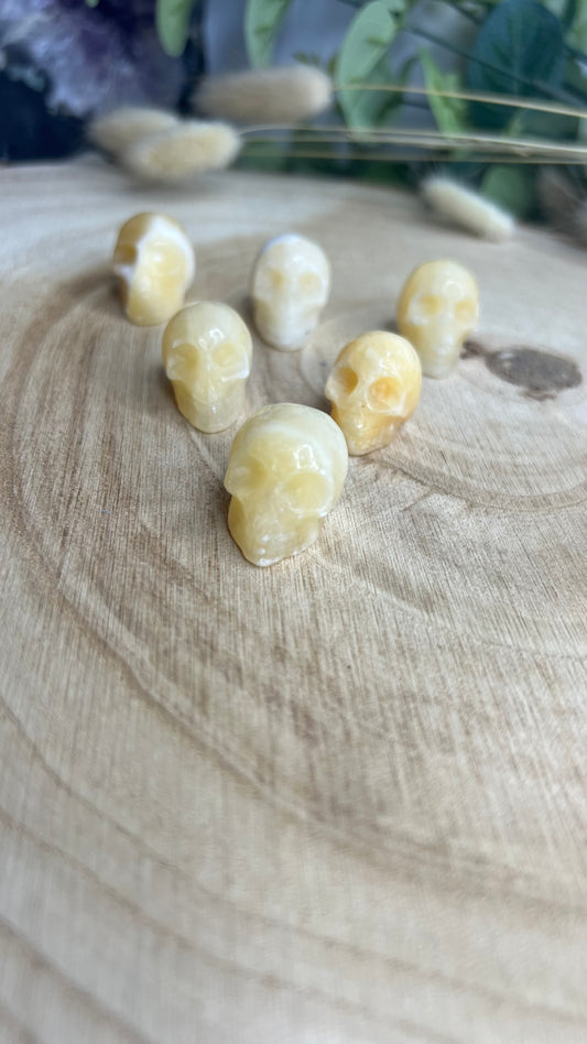 Crane Calcite orange
