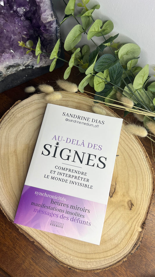 Livre Au-delà des signes