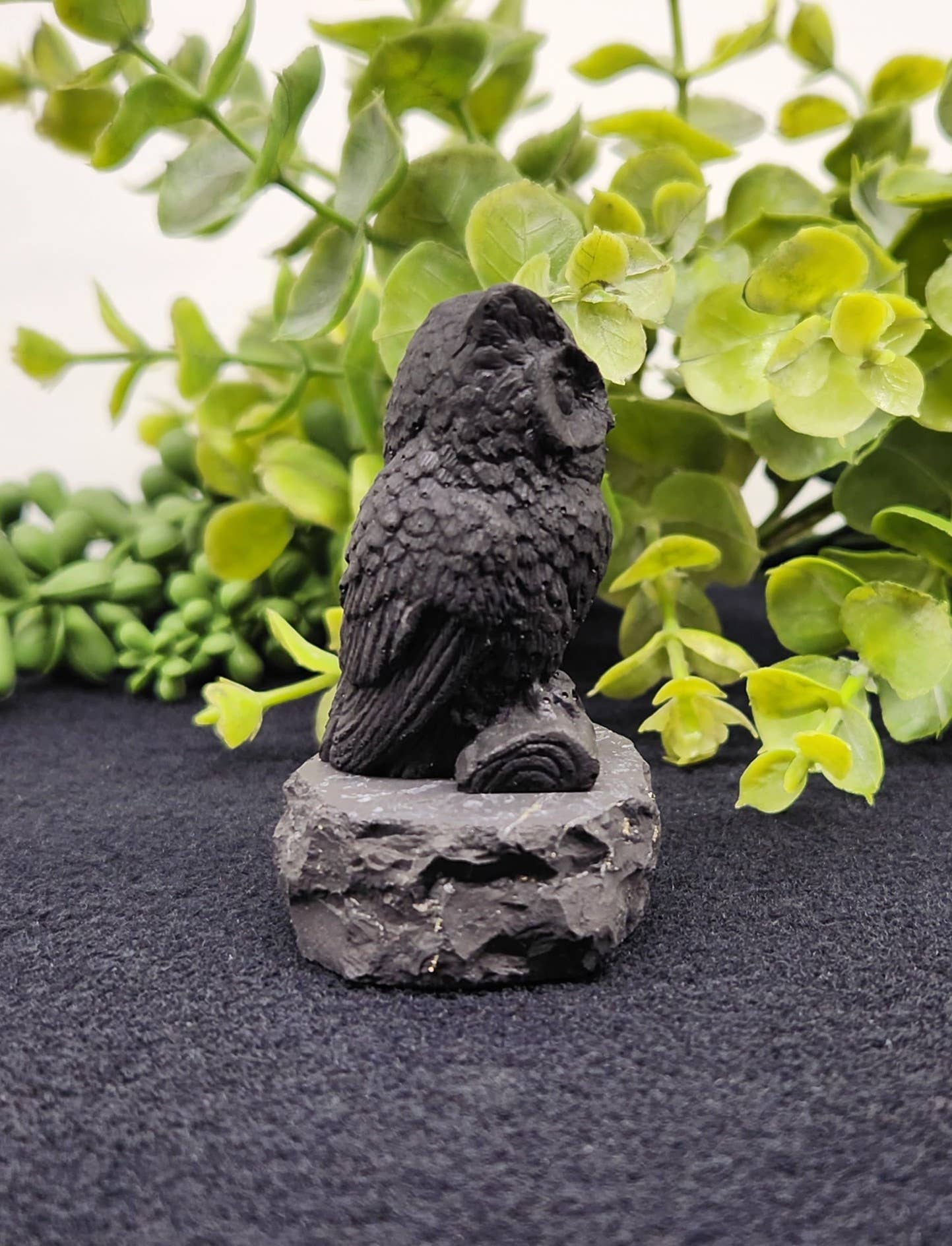 Forme hiboux shungite